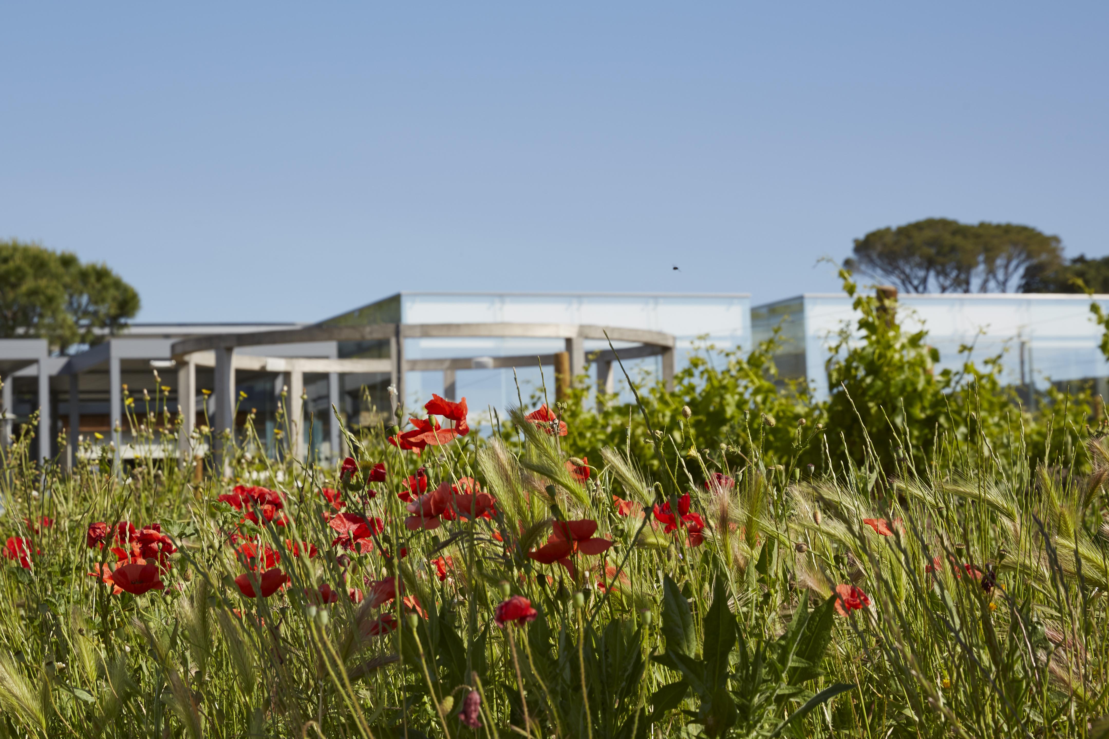 Domaine De Verchant & Spa - Relais & Chateaux Castelnau-le-Lez Exterior photo